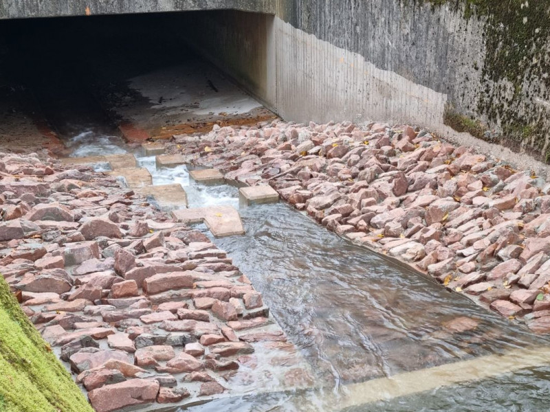 Fischaufstiegsanlage am Olewiger Bach ist fertig - jetzt können die Fische wieder aufwandern